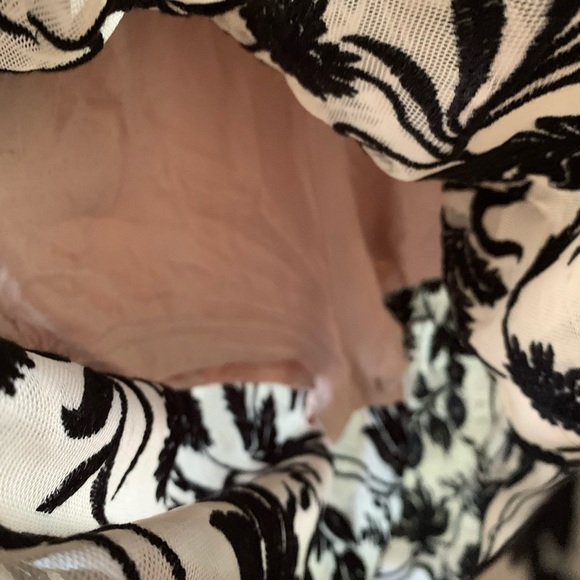 Somedays Lovin' Dusk Black Nude Embroidered Dress - Picture 14 of 14